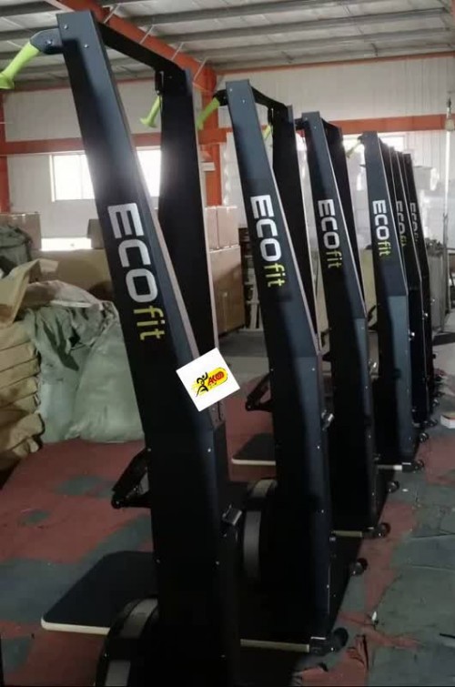 دستگاه اسکی ارگ اکوفیت مدل EcoFit 6200